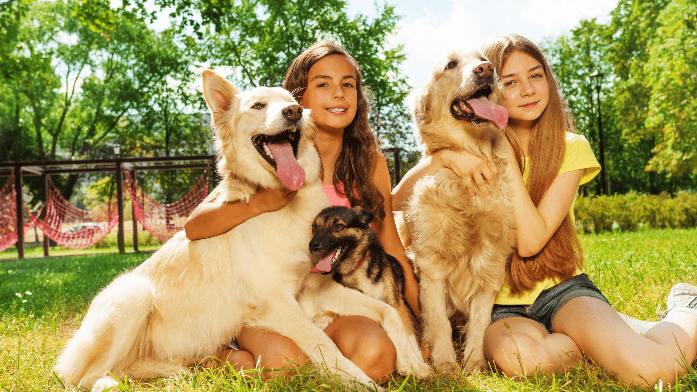 two girls hugging their big dogs while sitting on a lawn.