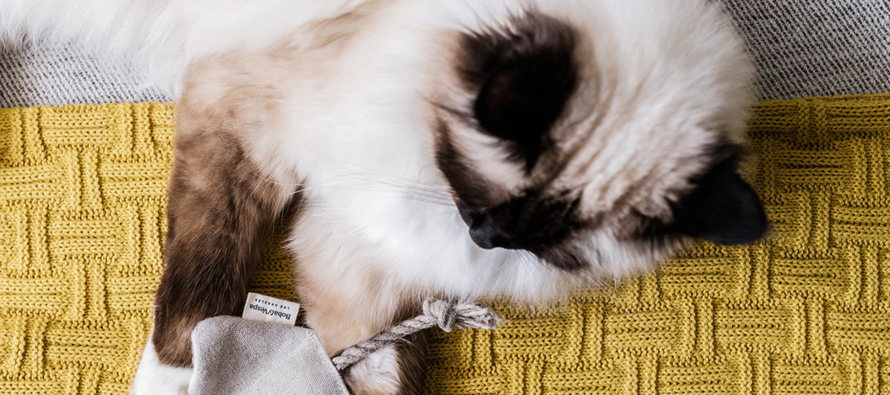Sustainable Pet Products - Cat playing with stingray toy from boba and vespa