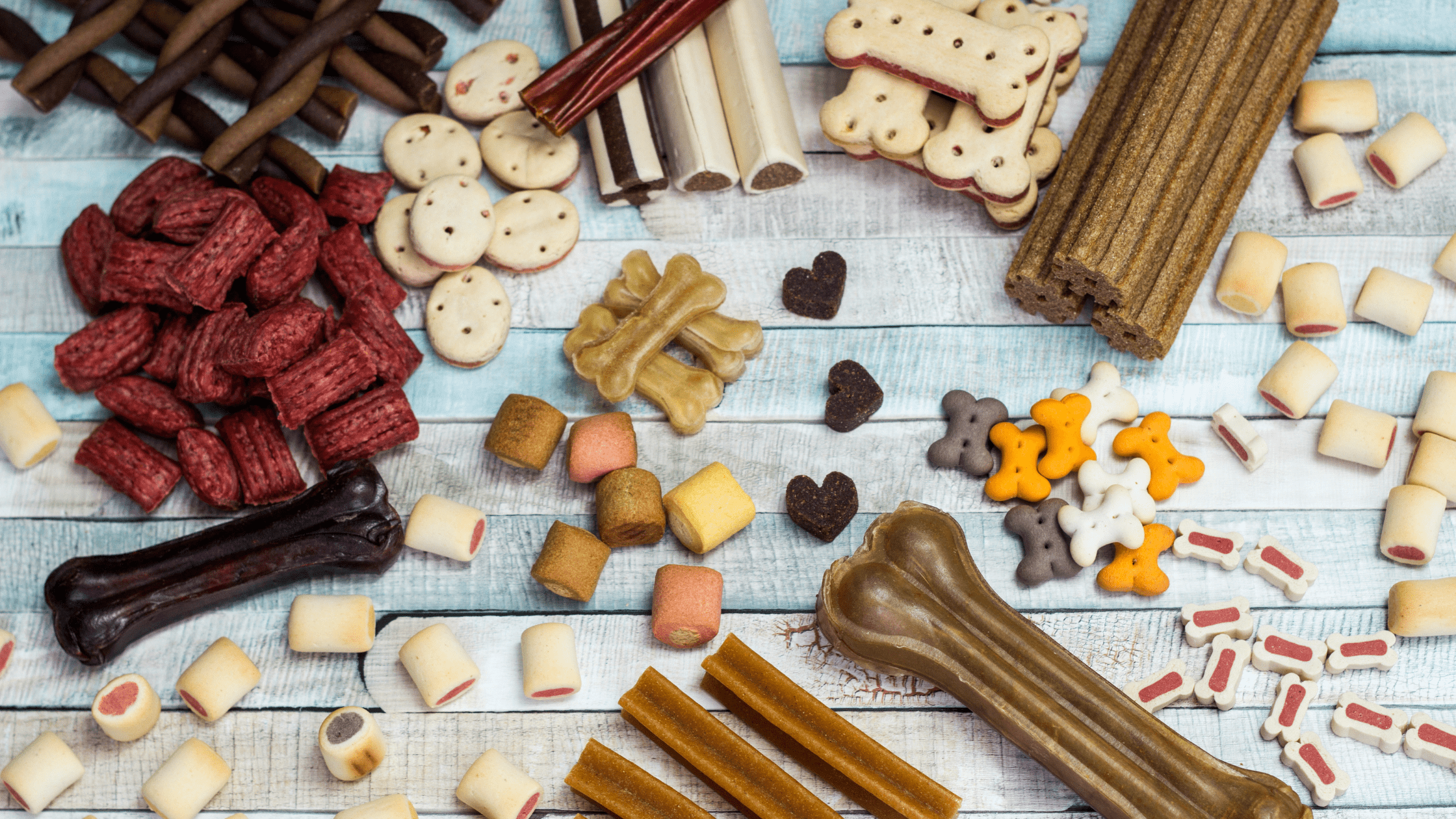 What Is the Environmental Impact of Pet Food?