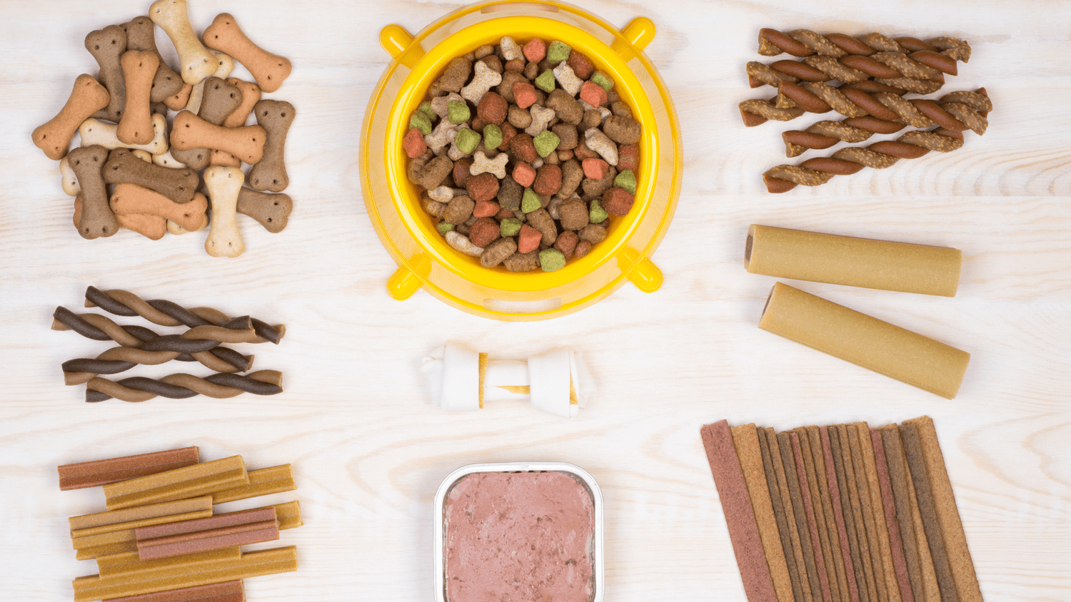 Different types of dog and cat food spread out on surface - flat lay