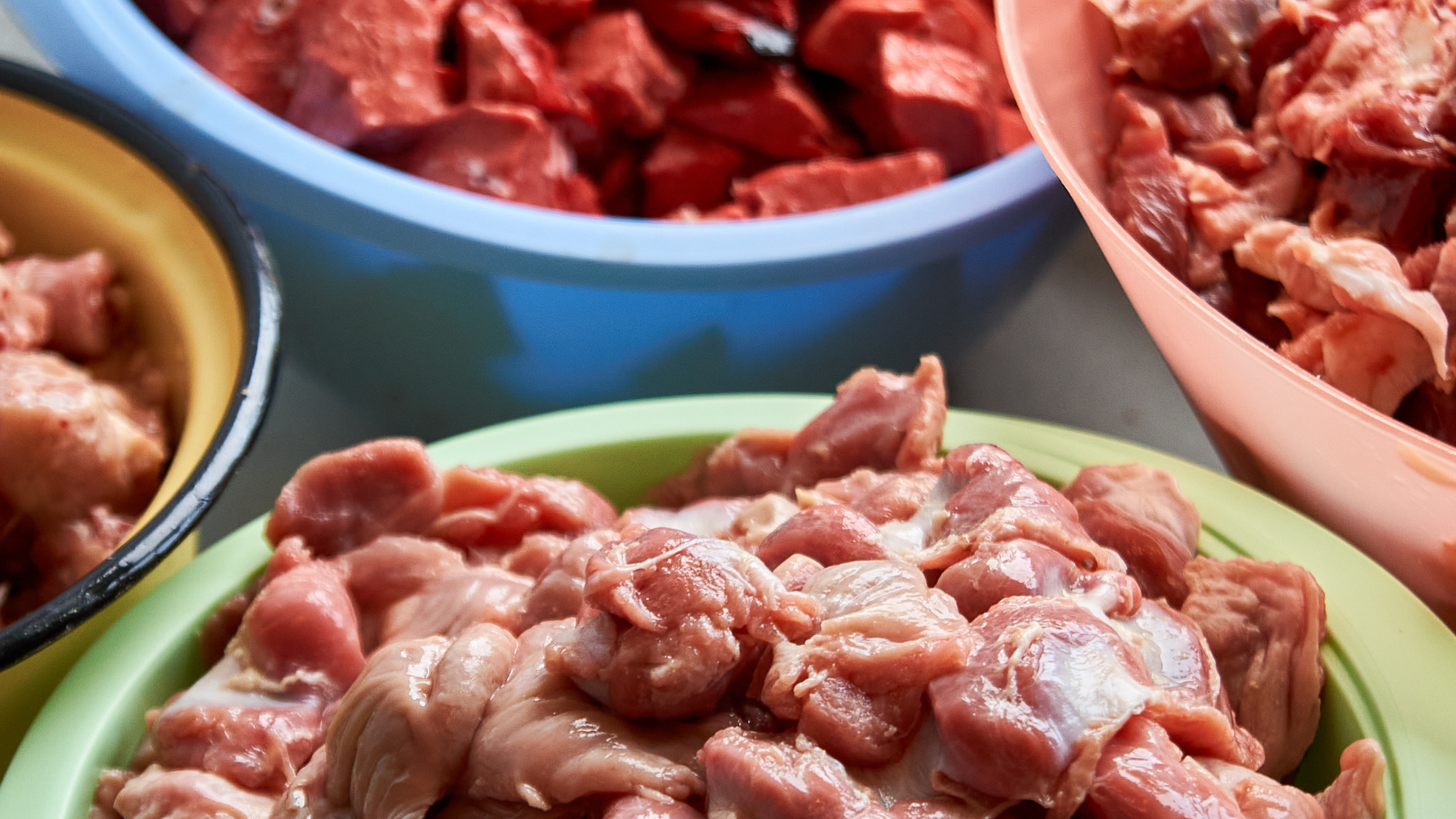 Why Not to Feed Your Dog a Raw Food Diet