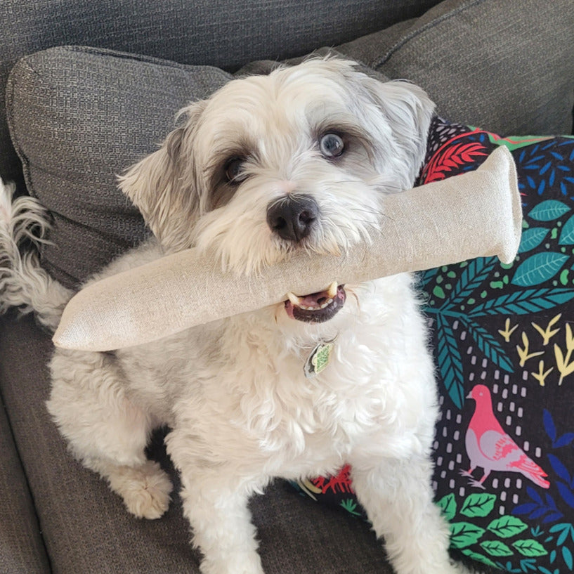 Non-Toxic Fetch Dog Toys