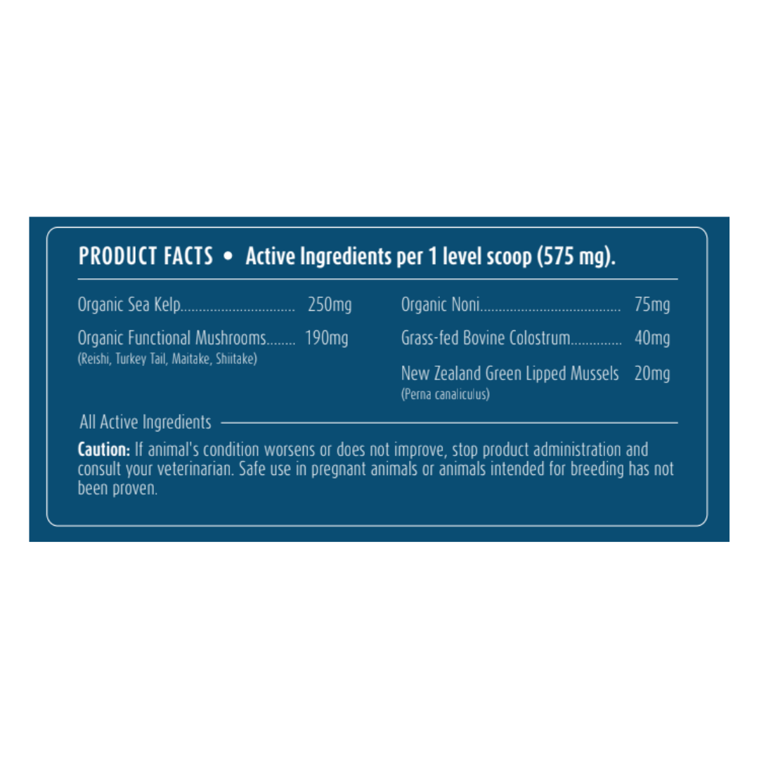 Allergy + Immune Support | Allergy Supplement for Dogs + Cats