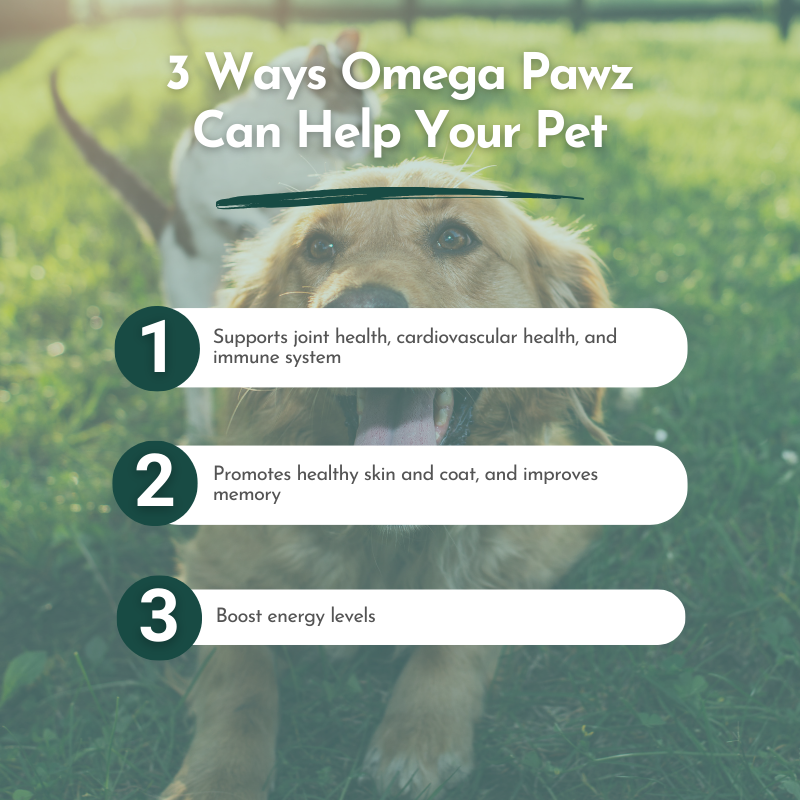 Dog in grass with text overlay about Omega Pawz benefits
