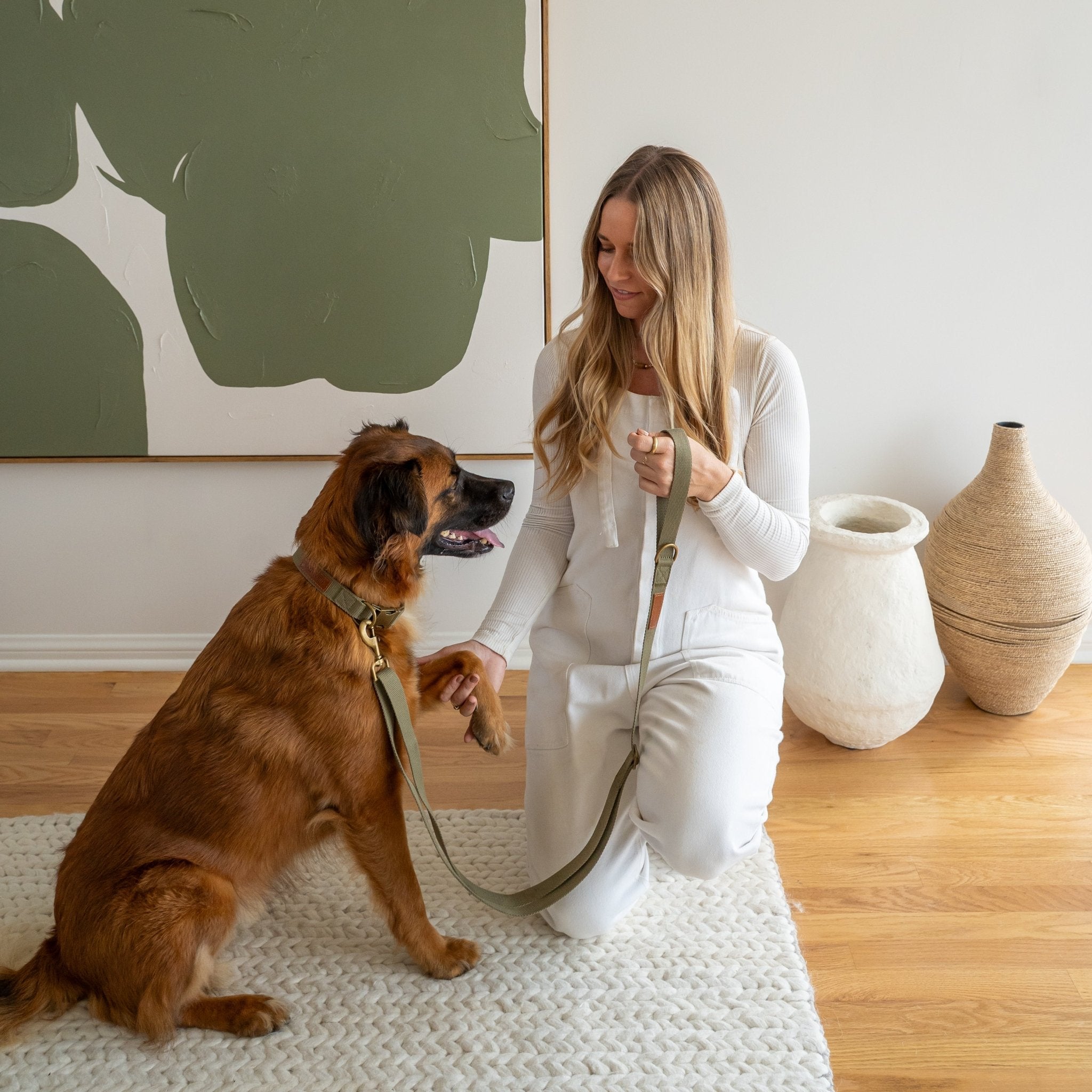 Hemp Cotton Dog Leash with Brass Attachments