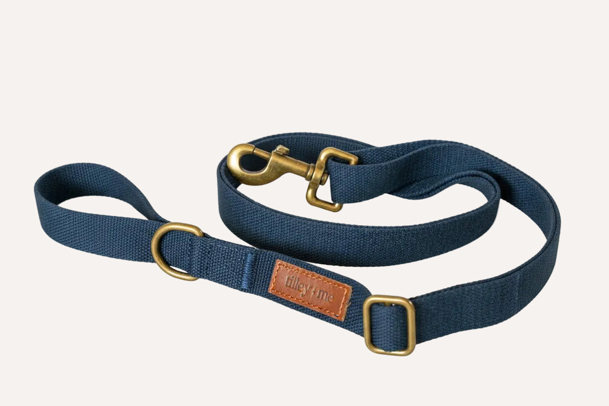 Hemp Cotton Dog Leash with Brass Attachments