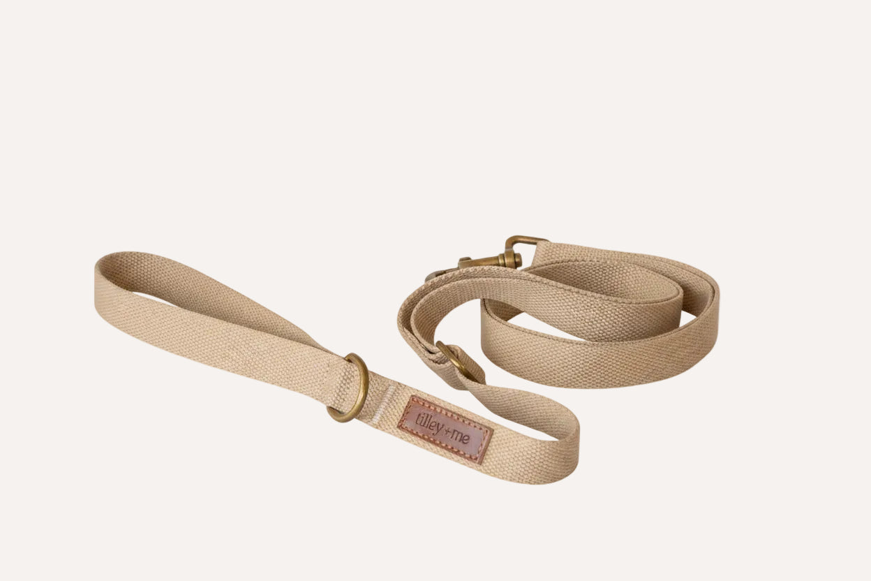 Hemp Cotton Dog Leash with Brass Attachments