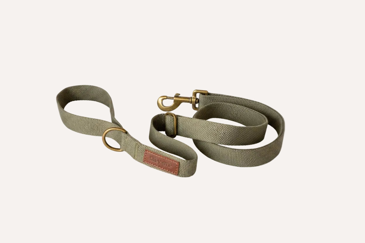 Hemp Cotton Dog Leash with Brass Attachments