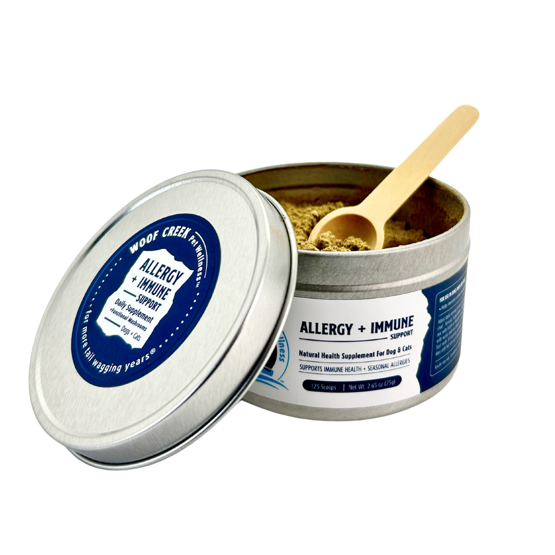 Tin of allergy and immune support supplement with a wooden scoop on a white background