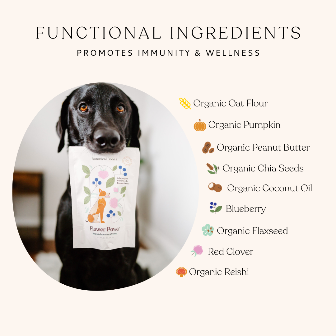 Dog holding a bag labeled 'Flower Power' limited ingredient dog treats with functional ingredients list on a white background