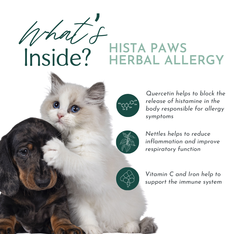 Two pets, a cat and a dog, with text about HISTA PAWS Herbal Allergy supplement.
