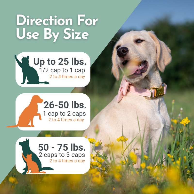 Dog sitting in a field with dosage instructions for pets by size.