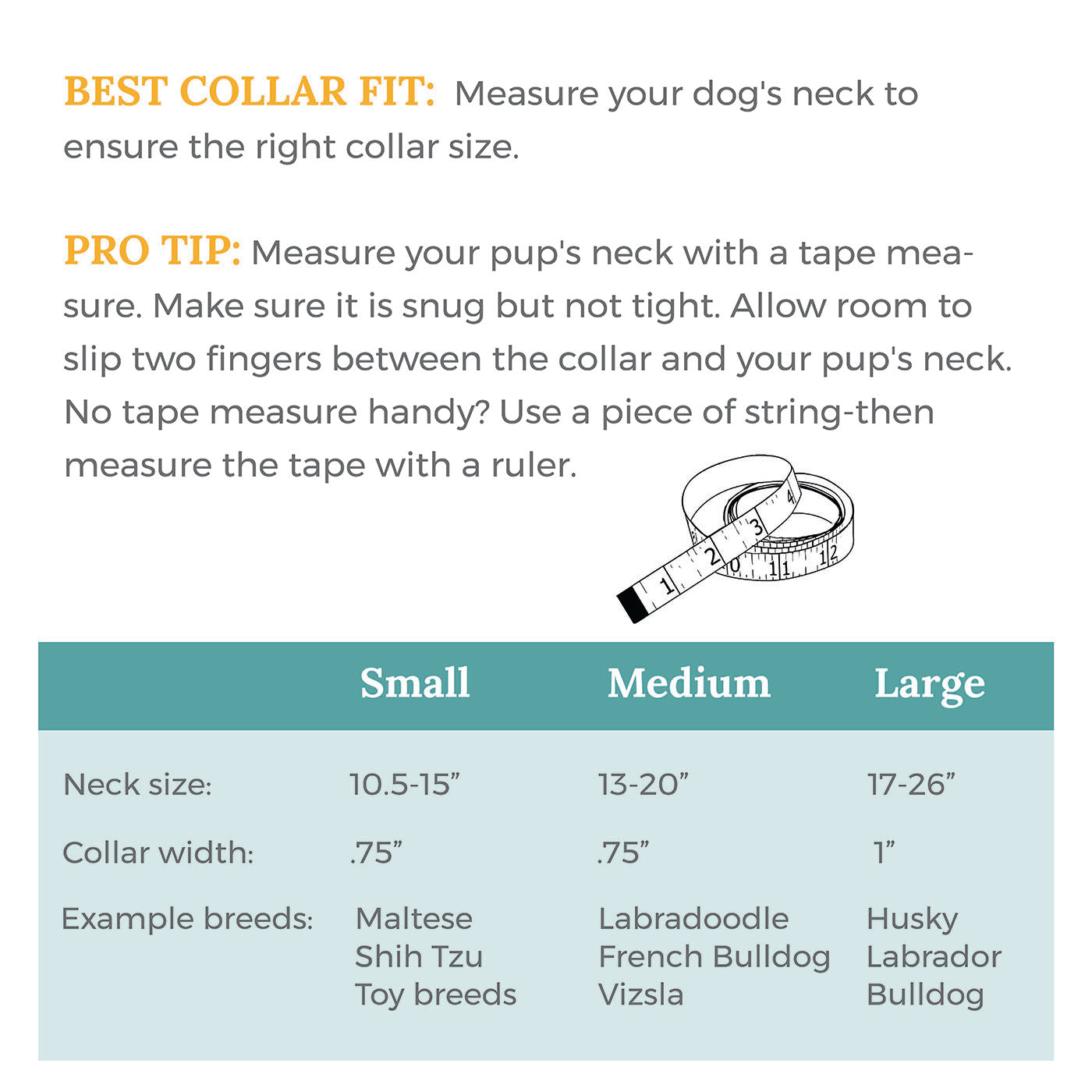 Collar size chart for dogs with measurement guide and pro tip on a white background