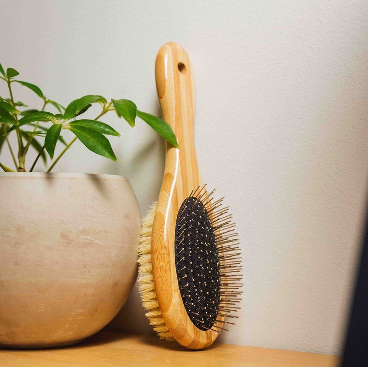 2-in-1 Dog Grooming Brush | Pin & Bristle Brush | Bamboo Wood, Stainless Steel