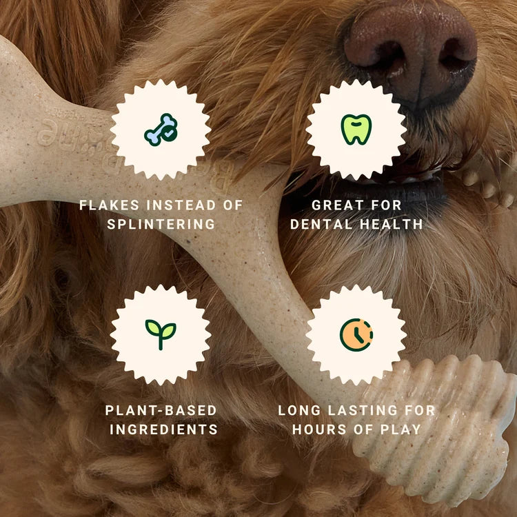 image of dog mouth upclose holding bone. lists four benefits of the betterbone.