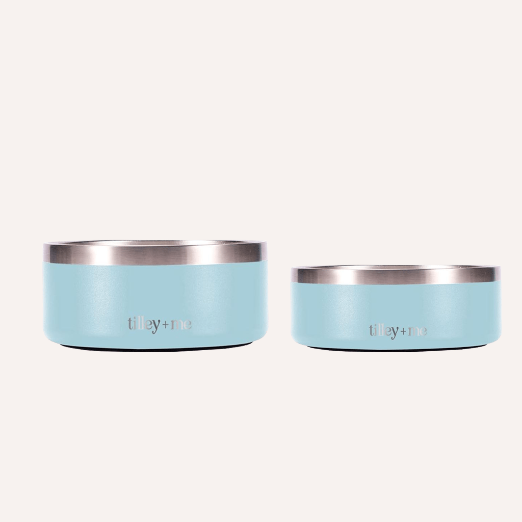 Stainless Steel Dog Bowl | Non-Slip Food & Water Bowl