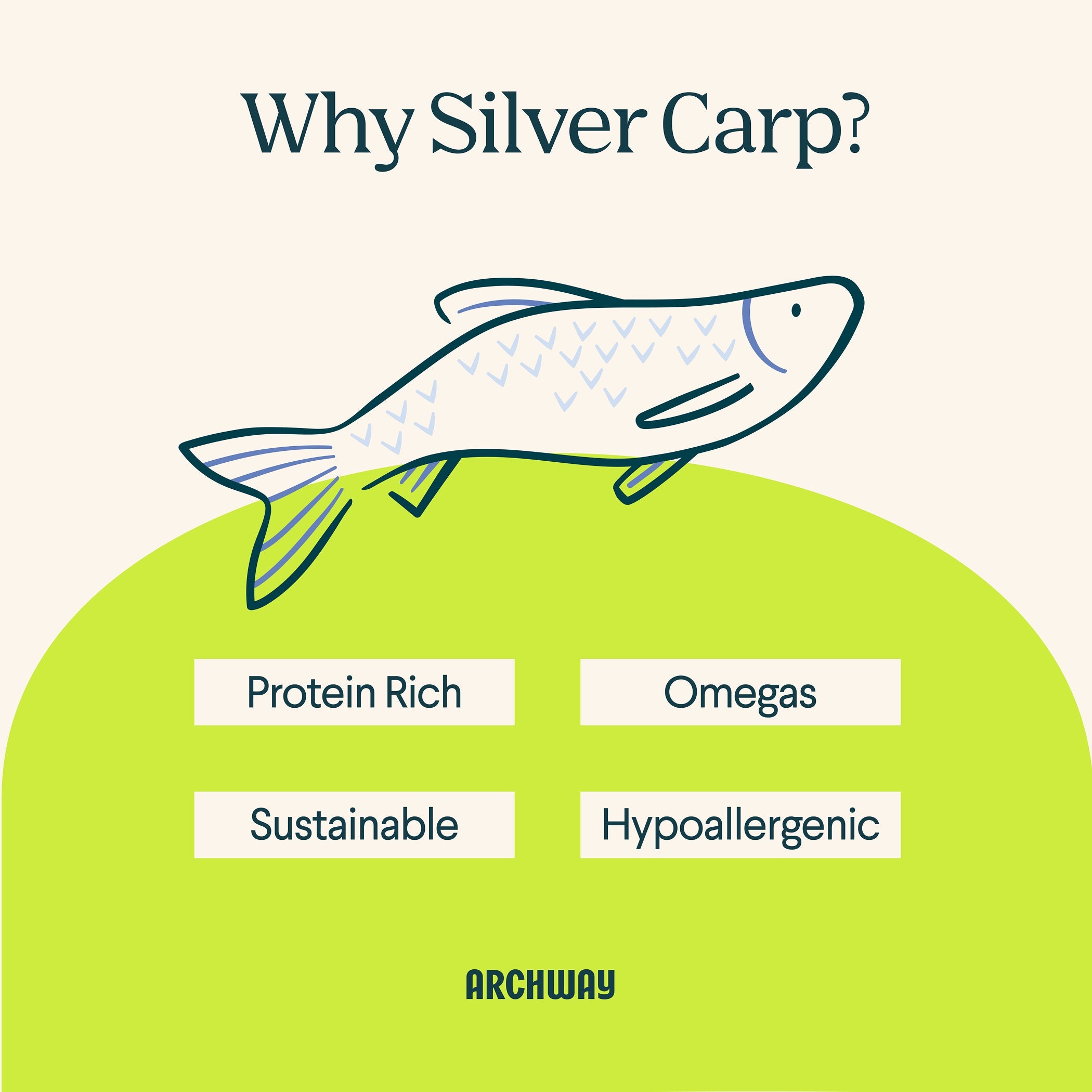 Illustration of a silver carp with health benefits listed on a green and beige background, featuring the Archway brand.