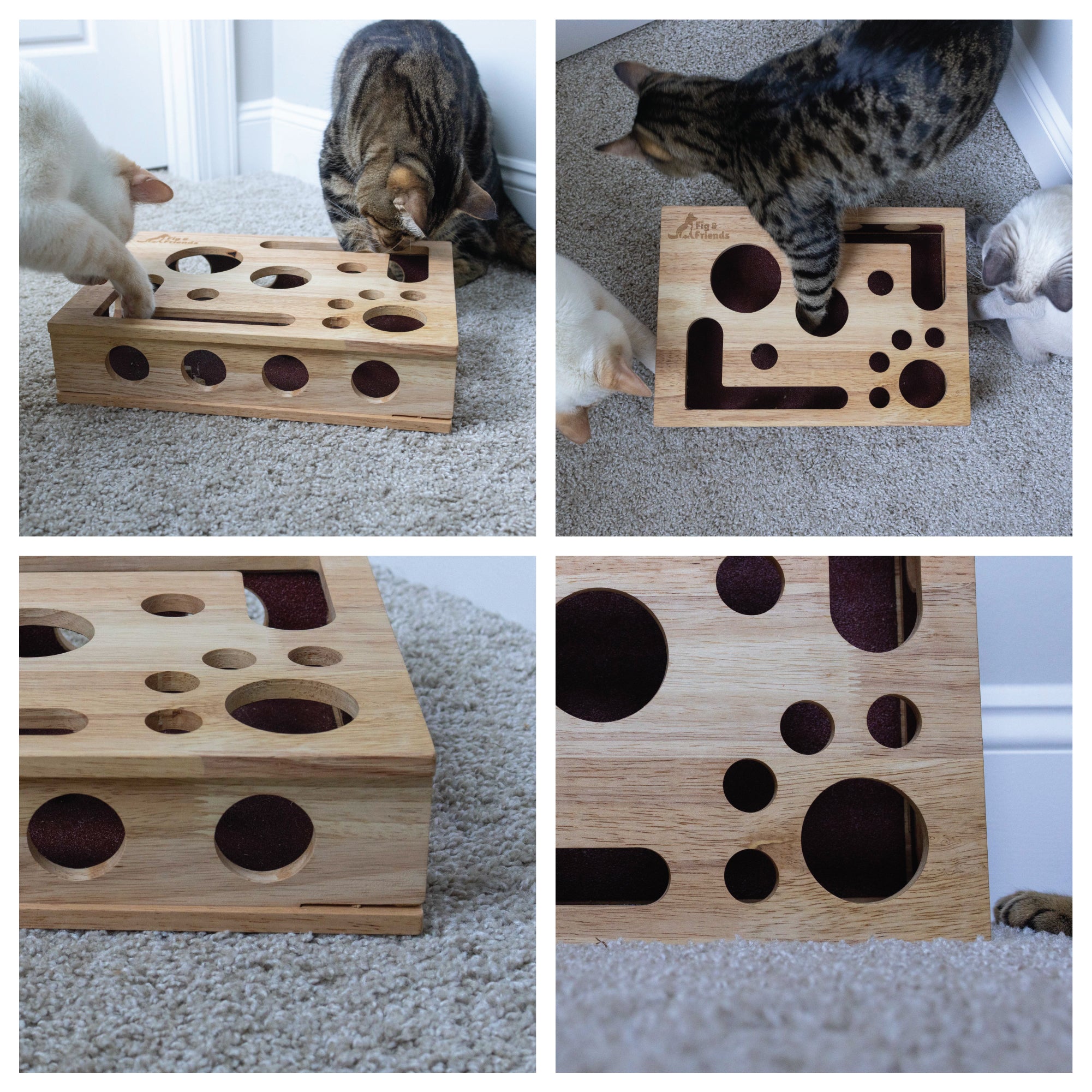 Cat Nail File Box | Interactive Cat Enrichment Toy