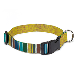 Dog collar with striped pattern on a white background