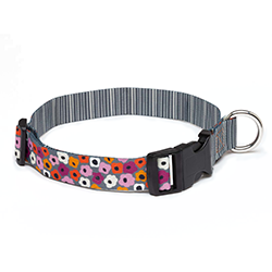 Dog collar with colorful floral pattern on a white background