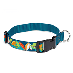 Dog collar with colorful butterfly design on a blue background
