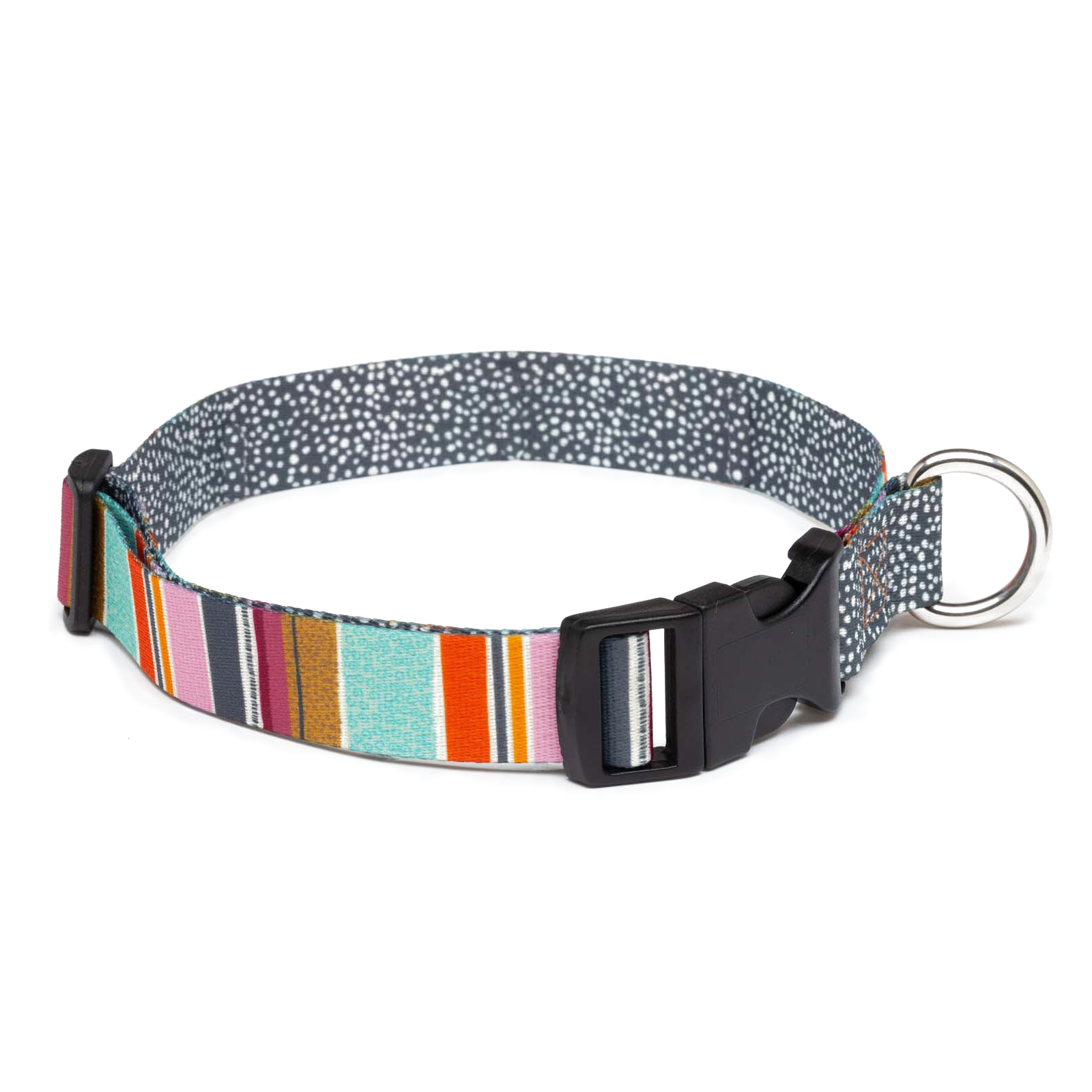 Dog collar with striped pattern on a white background