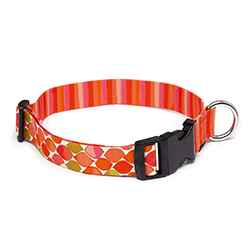 Dog collar with colorful pattern on a white background