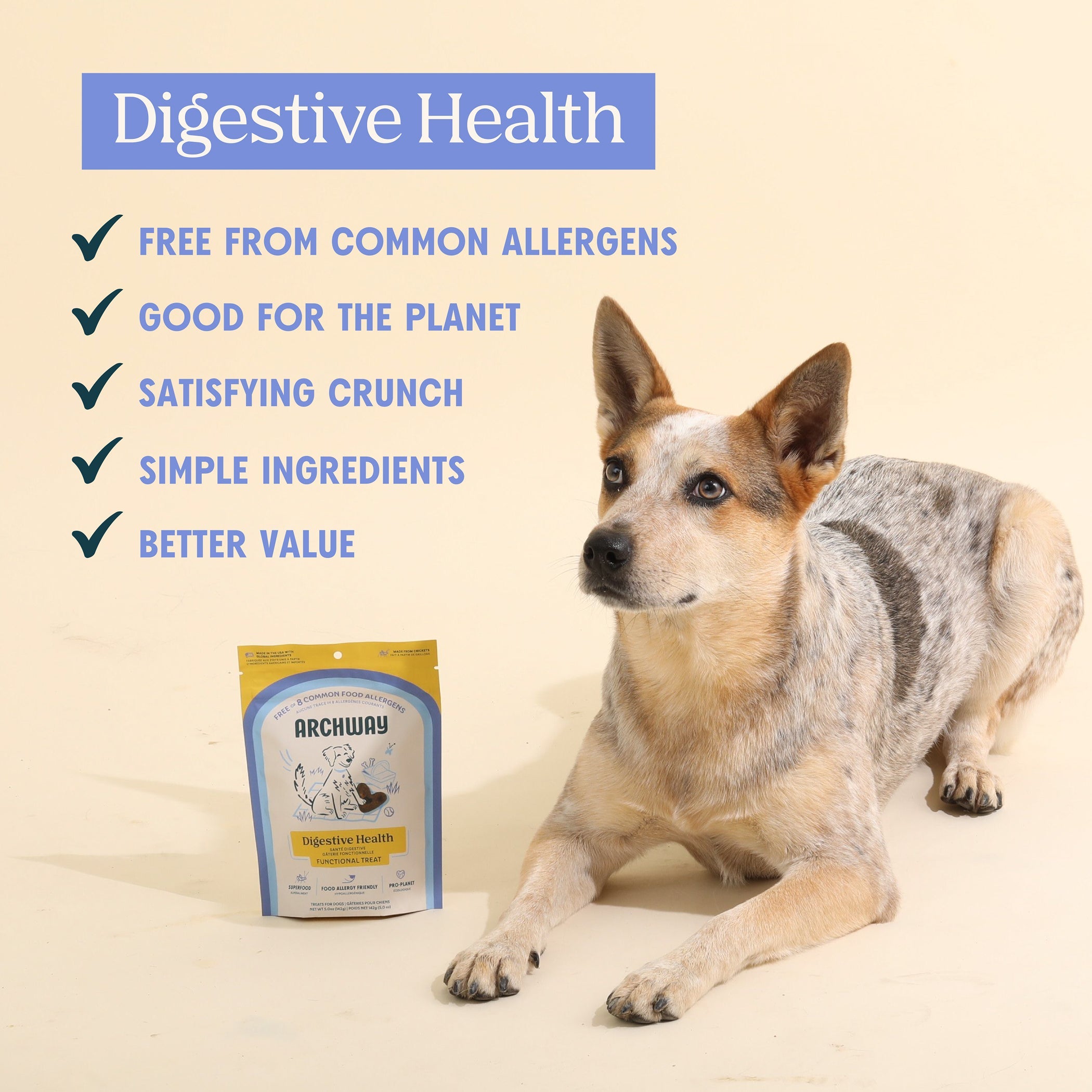 Dog sitting next to a bag of Archway pet food with text about digestive health benefits on a beige background