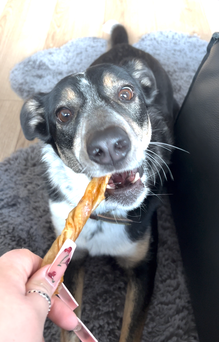 Silver Carp Maw Dog Chews - Single Ingredient