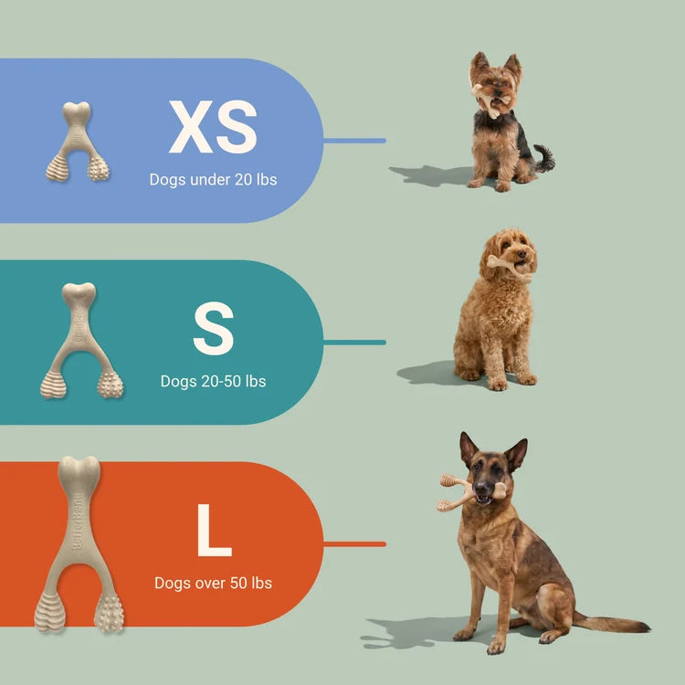 shows xs vs s to large size bones that correlate to dog size.