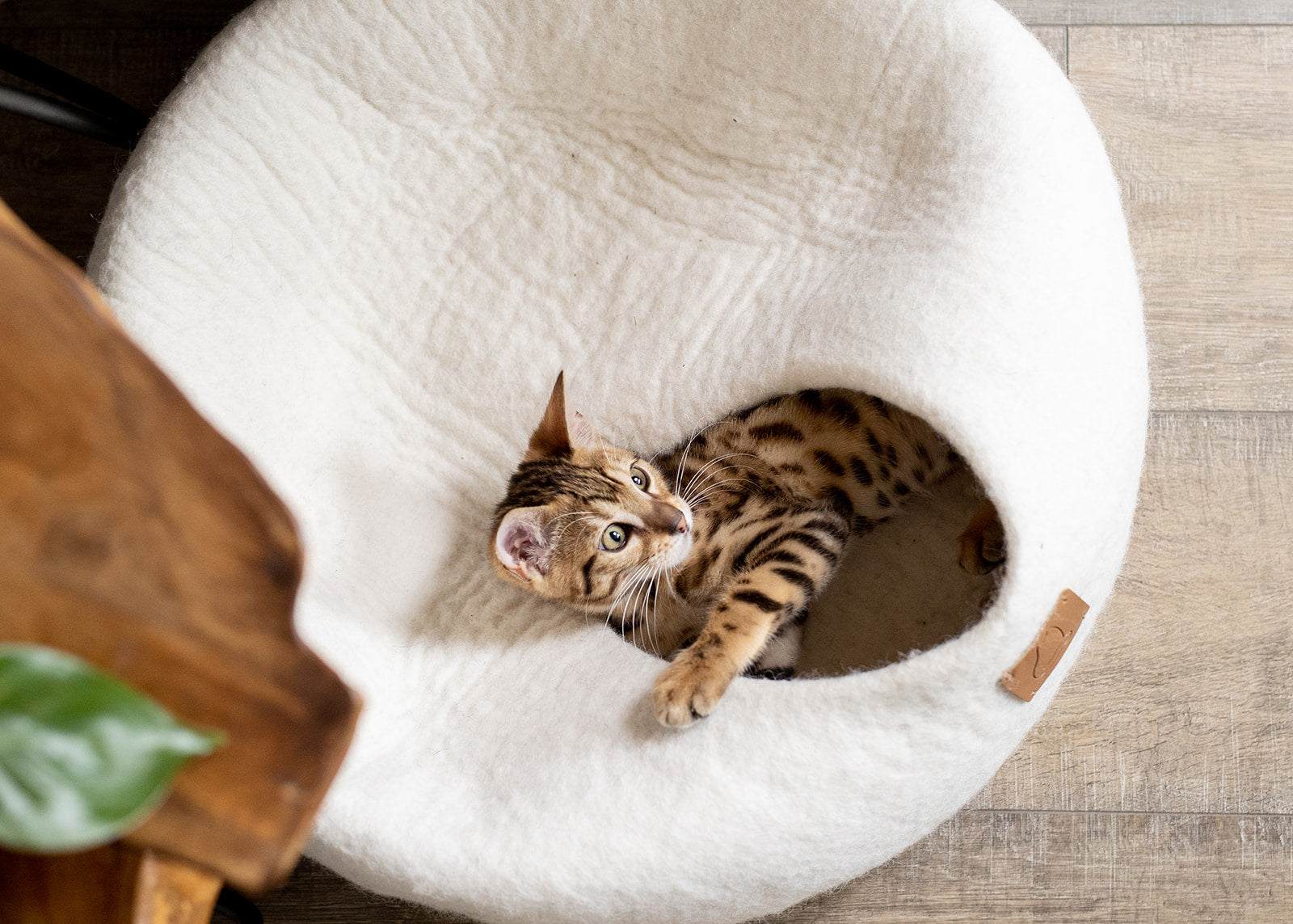 Organic Wool Cat Cave - Natural & Zero Waste
