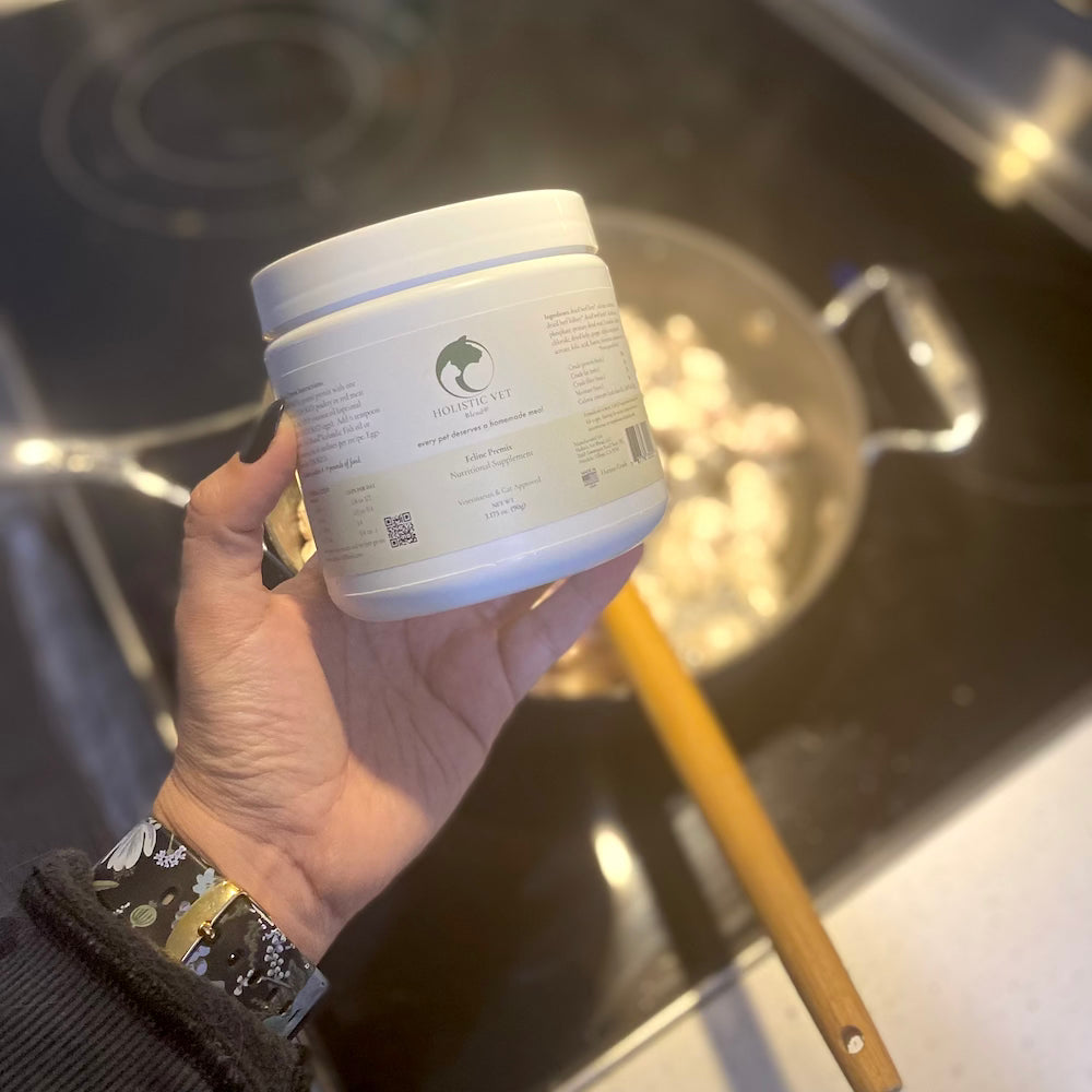 HVB Homemade Cat Food Supplement