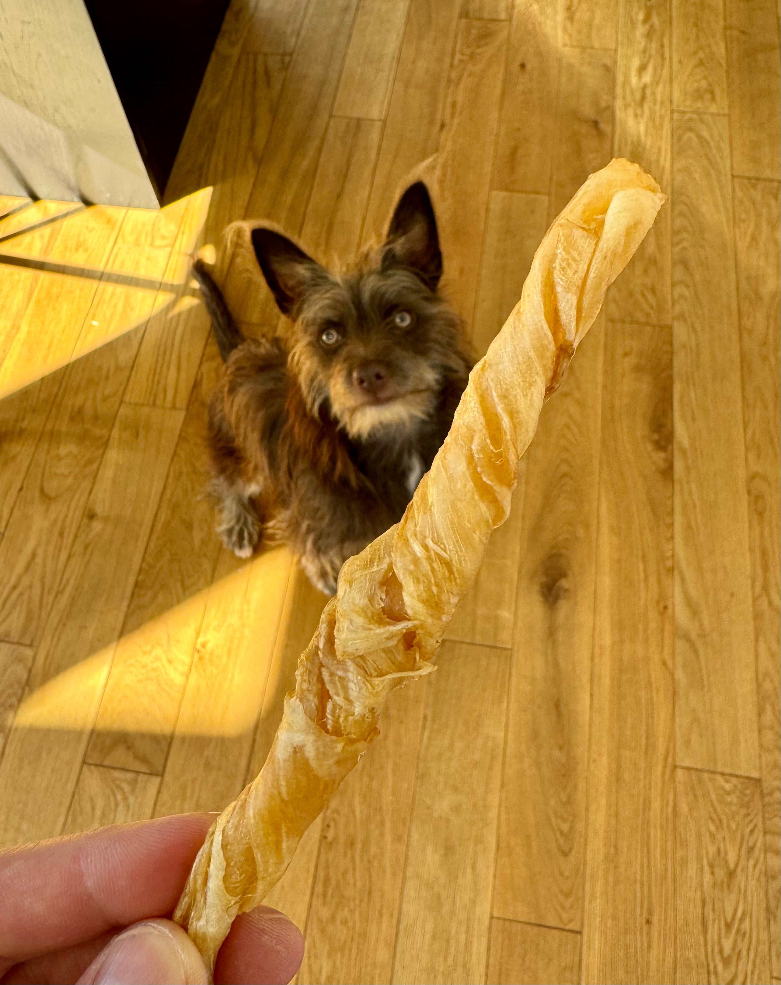 Silver Carp Maw Dog & Cat Chews - Single Ingredient