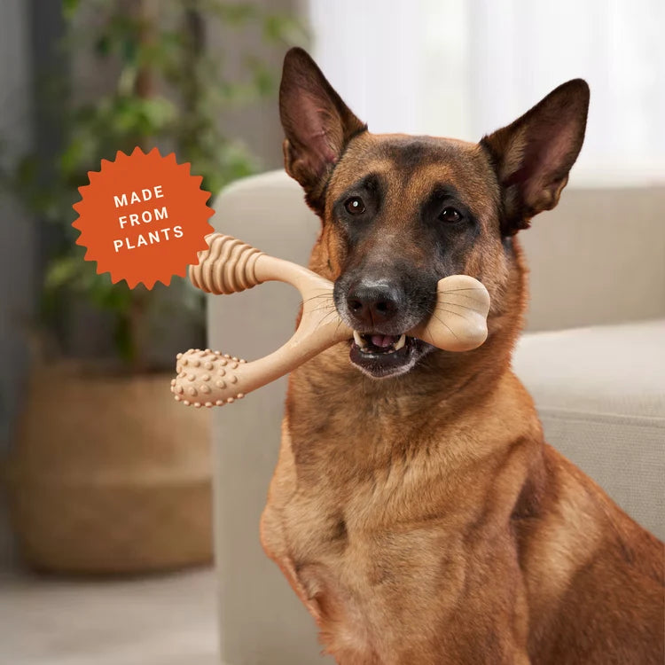 dog holding betterbone in mouth and description says made from plants.
