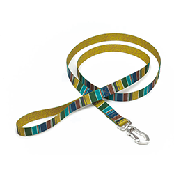 Striped dog leash with a clip on a white background