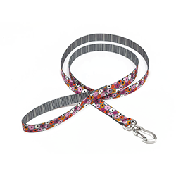 Dog leash with colorful pattern on a white background