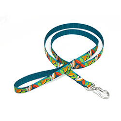 Colorful dog leash with a blue handle on a white background