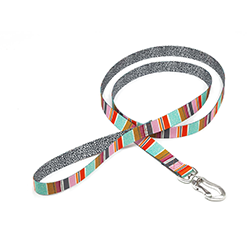 Dog leash with colorful striped pattern on a white background