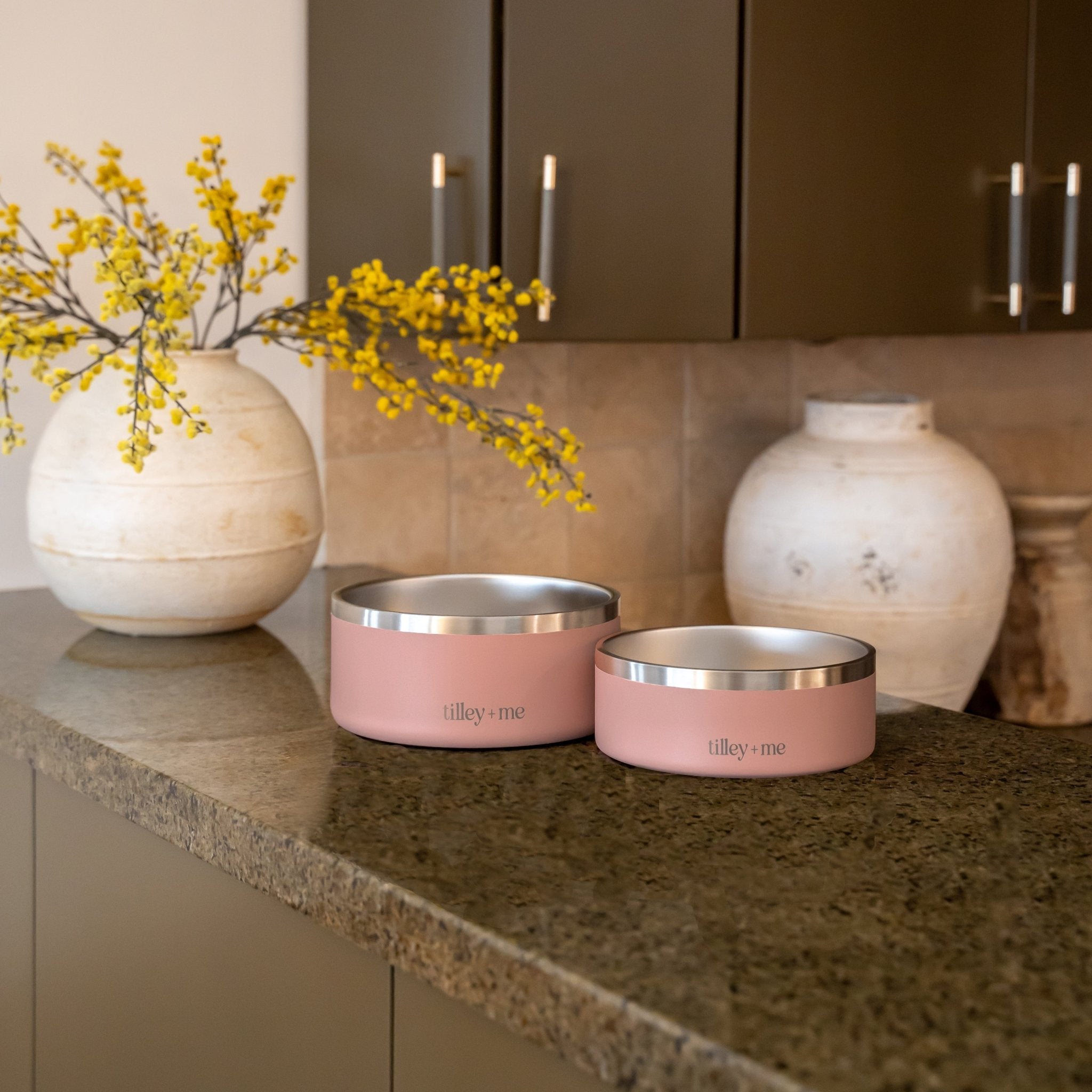 Stainless Steel Dog Bowl | Non-Slip Food & Water Bowl