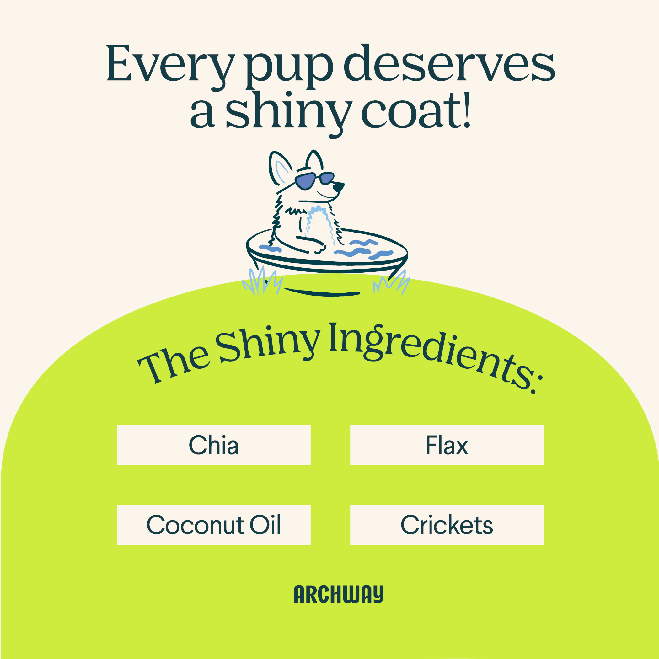 Product label for dog care with a cartoon dog, text about ingredients, and Archway branding.