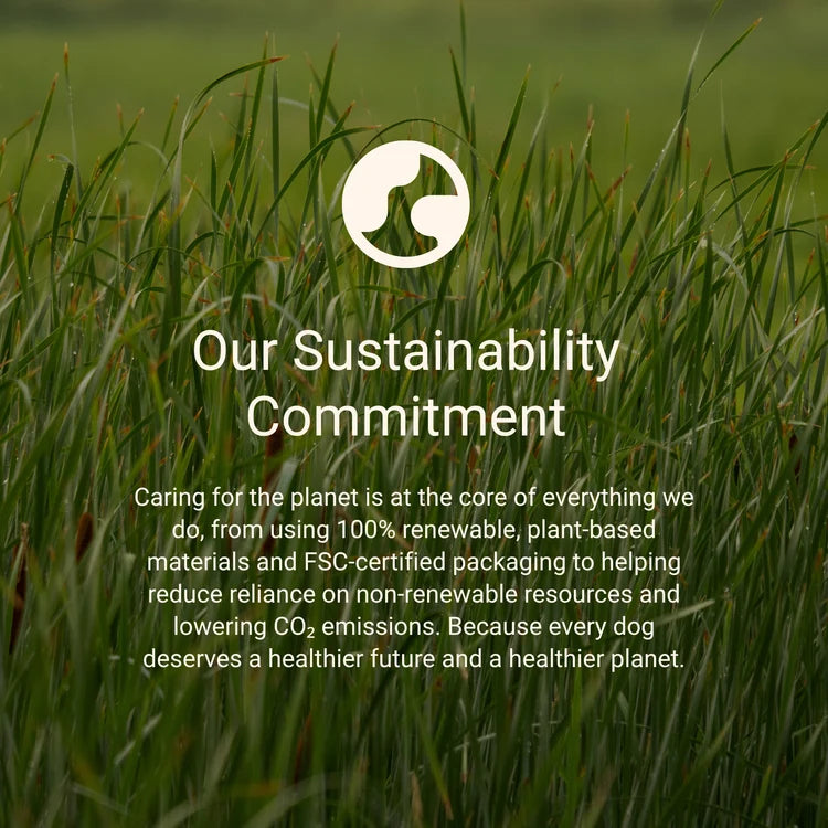 sustainability commitment from betterbone.