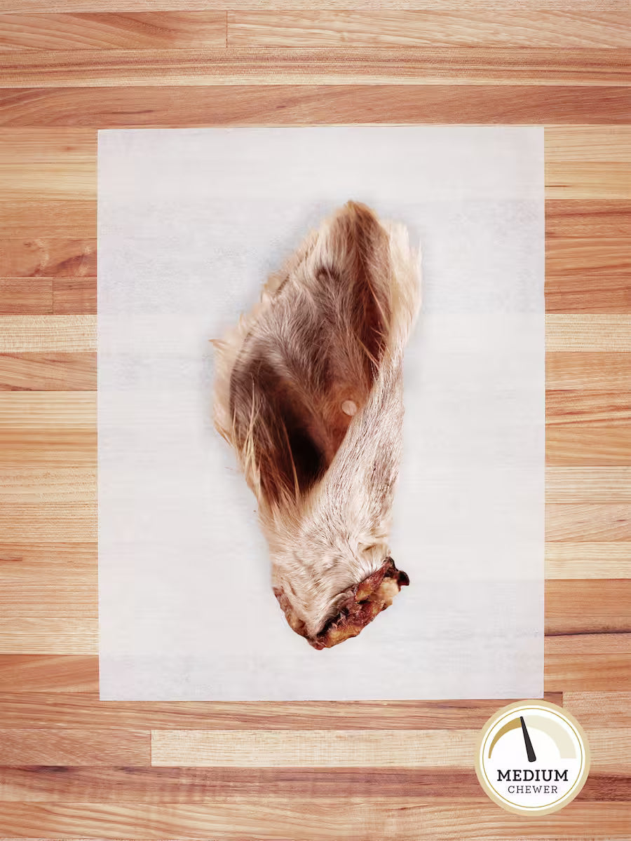 Dehydrated Beef Ear - Single