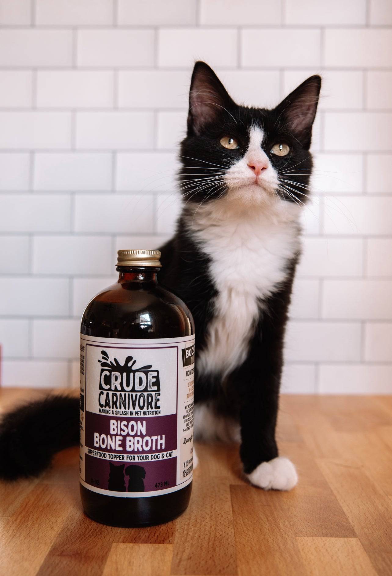 Cat standing next to a bottle of Crude Carnivore Bison Bone Broth on a wooden floor.