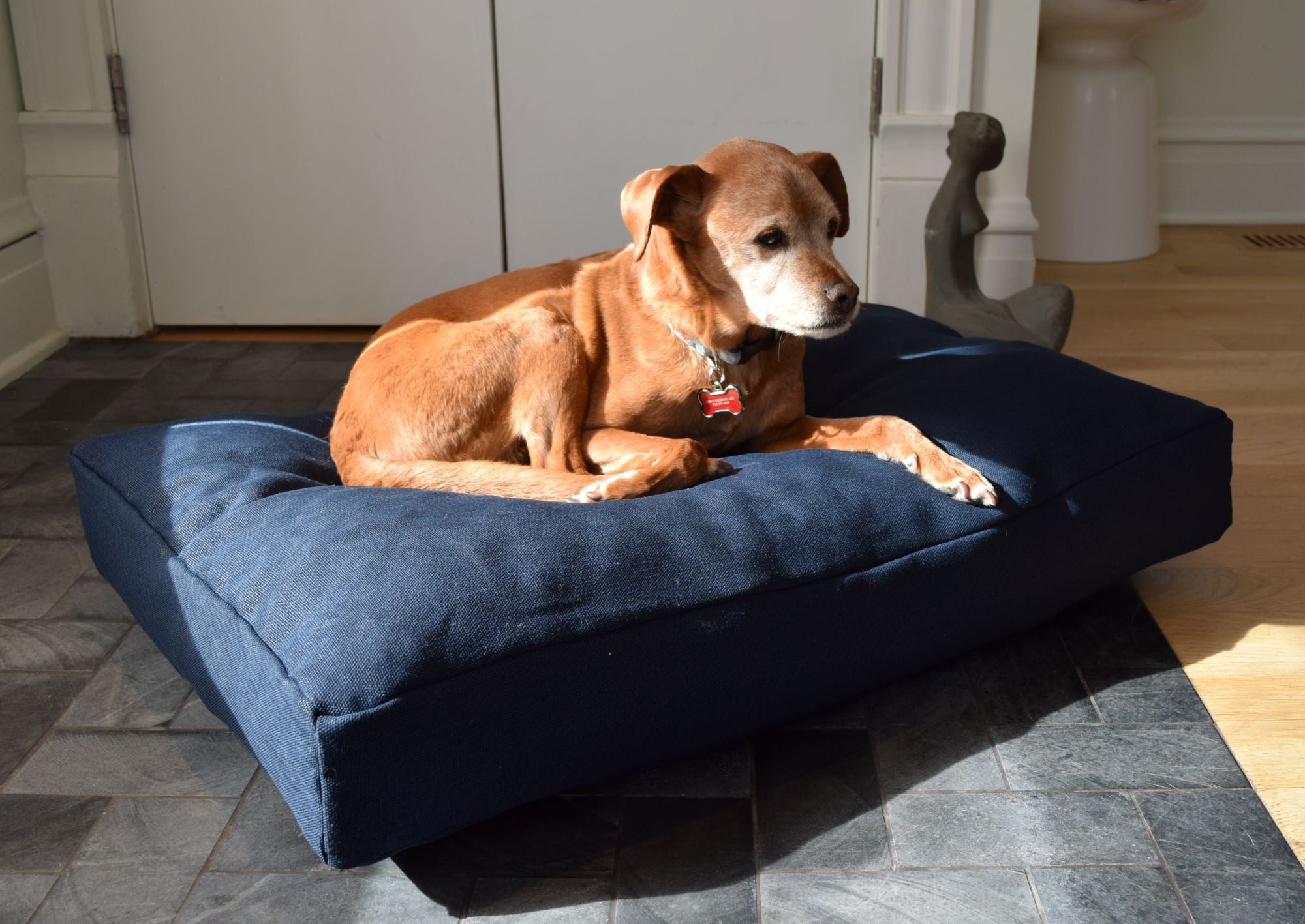 Organic Dog Bed - Hemp & Latex