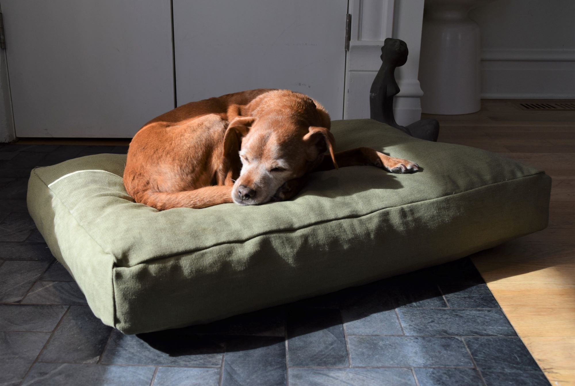 Organic Dog Bed - Hemp & Latex