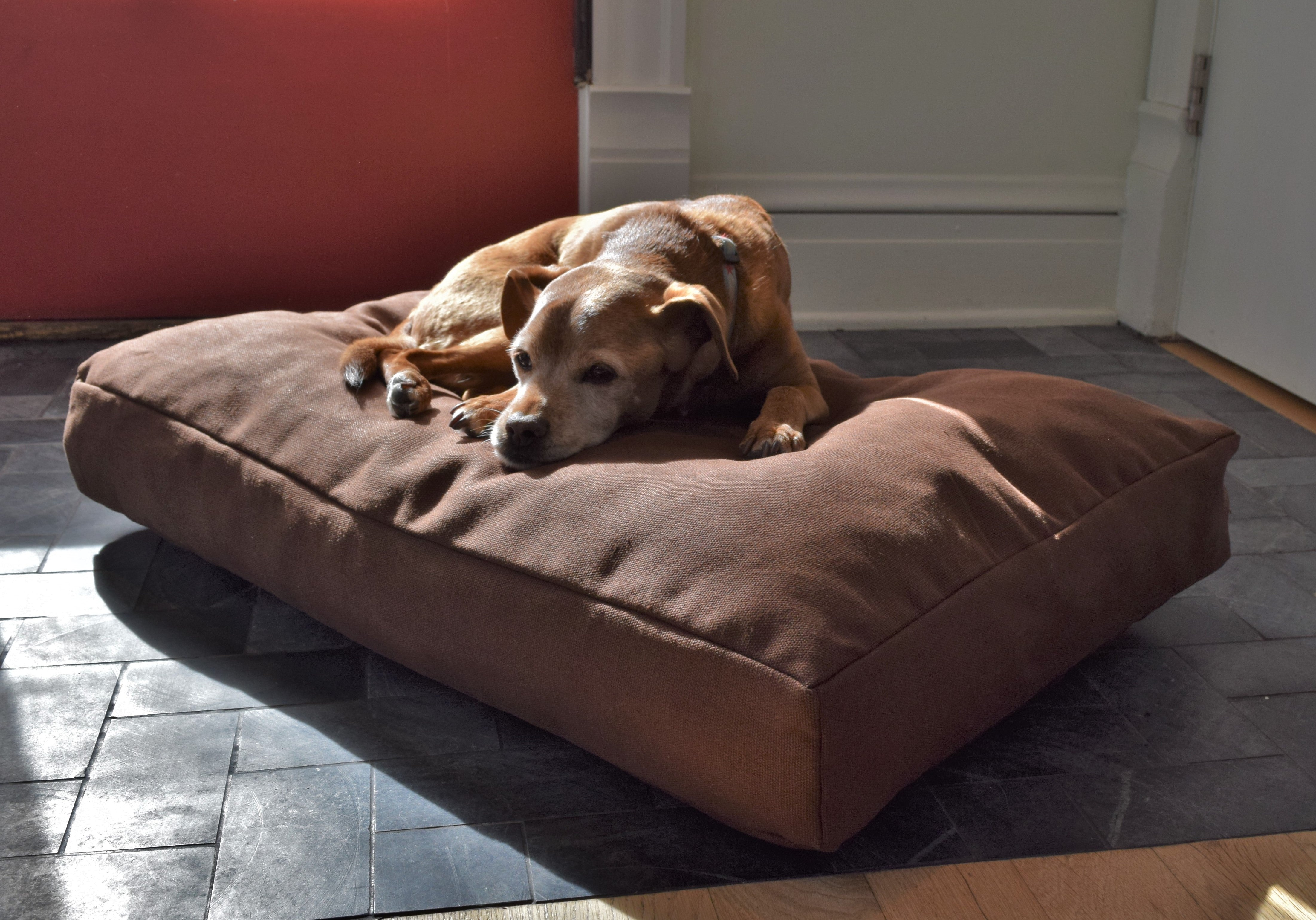 Organic Dog Bed - Hemp & Latex