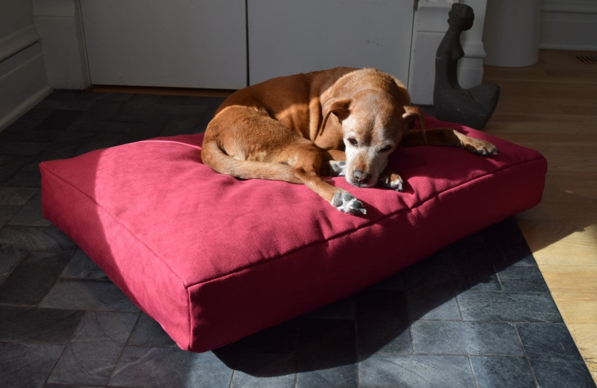 Organic Dog Bed - Hemp & Latex