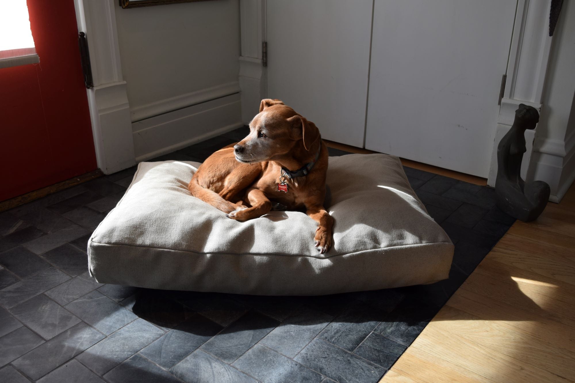 Organic Dog Bed - Hemp & Latex