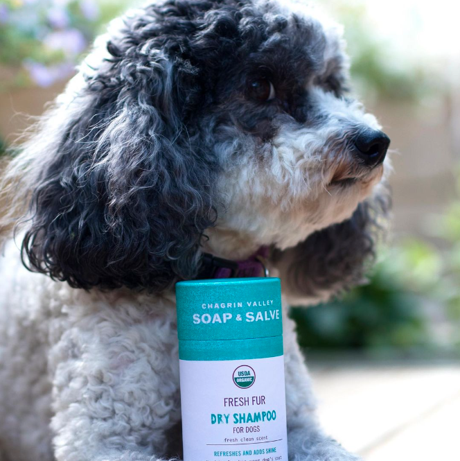 dog and Natural Dry Shampoo for Dogs