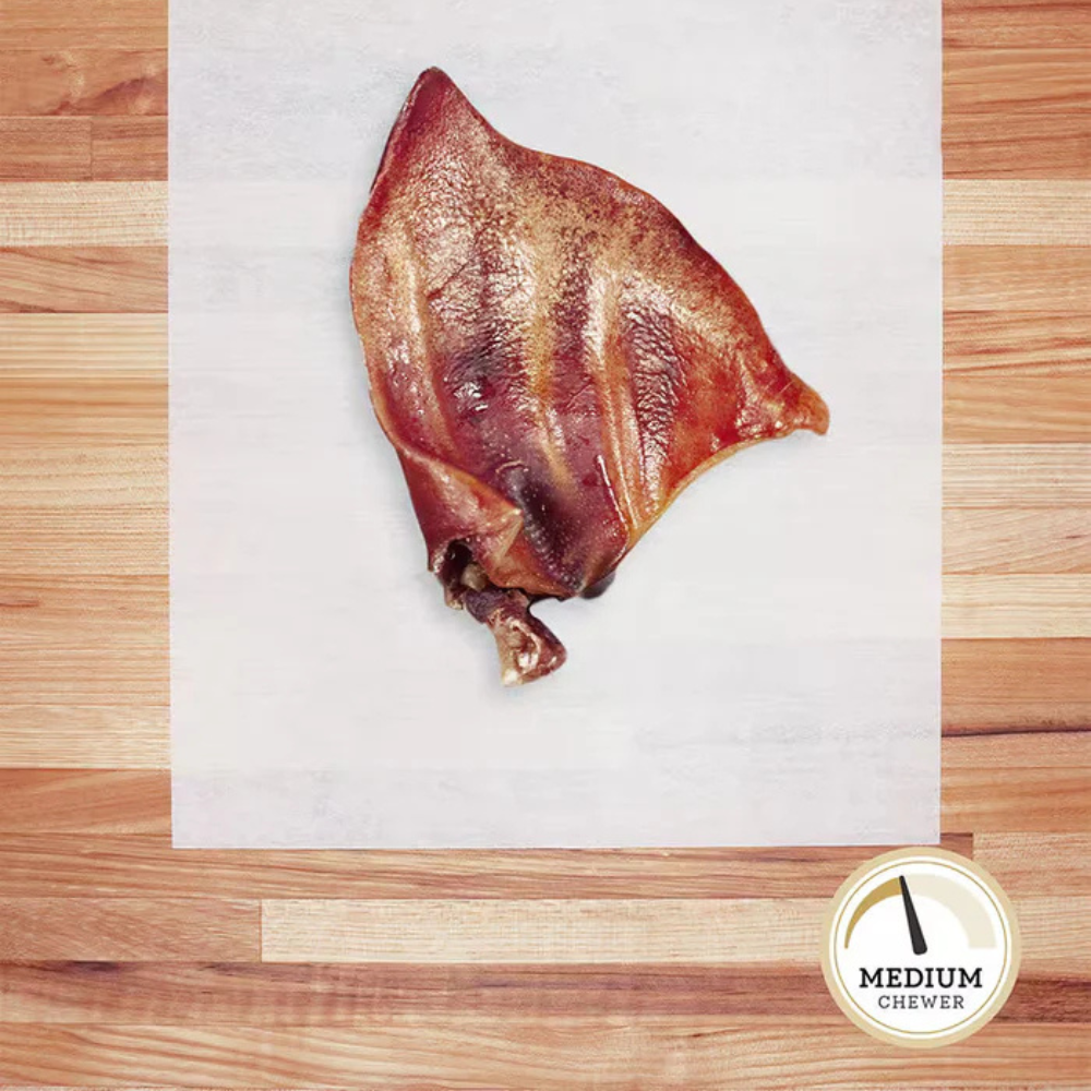 Dehydrated hog ear on parchment paper.